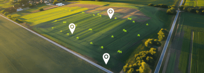 Layout Planning & Buyer Demand Analysis